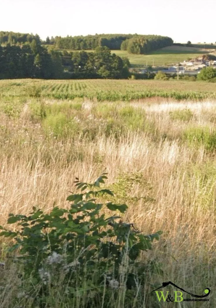 Rzeniszów Działka budowlana w Rzeniszowie sprzedaż 2277m2 - 5