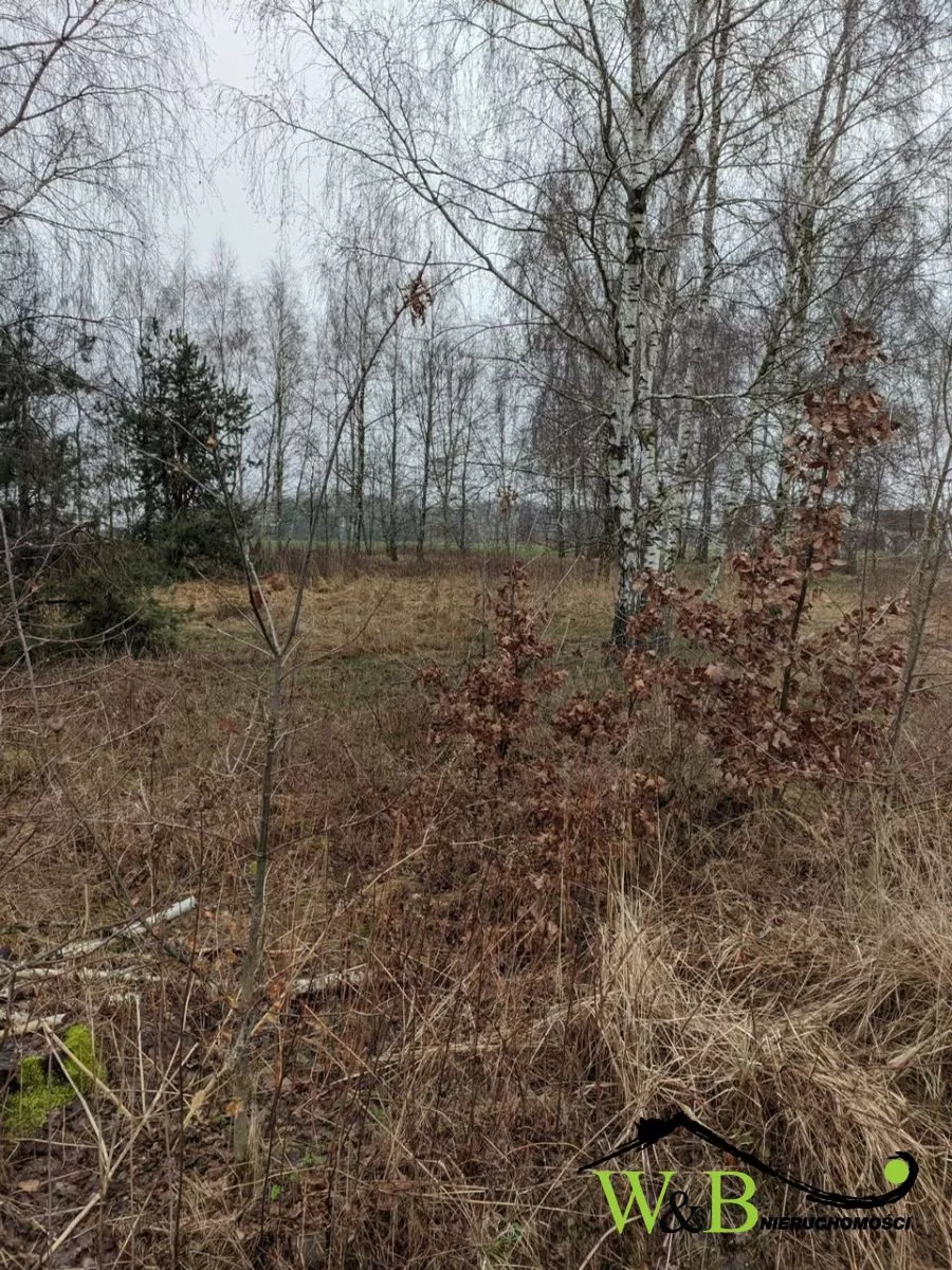Wrzosy Działka budowlana Wrzosy sprzedaż 1318m2 - 5