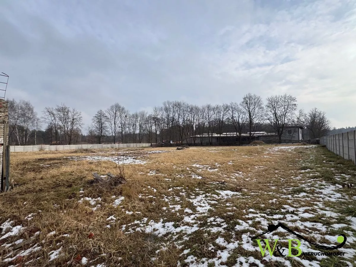 Tworóg Terenprzemysłowy z magazynami przy DK11 wynajem 7140m2